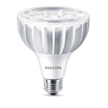 商用LED PAR30L射灯